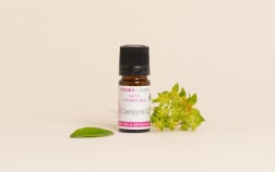 Coenzyme Q10 Active Ingredient