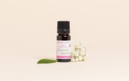 Plant-Based Ceramides Active Ingredient
