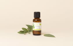 Huile essentielle Eucalyptus radié BIO