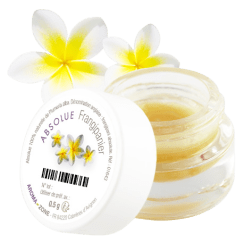 Frangipani Absolute