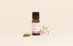 Actif Algo'Zinc