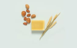 Handmade Soap Gentle Almond - Plant-Based & Cold Process