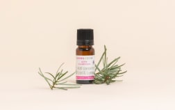 Actif Concentré Eclat & Lumière