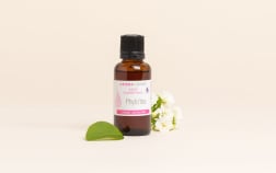 Phyto'liss Active Ingredient