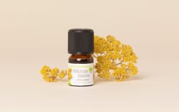Huile essentielle Hélichryse italienne (Immortelle) de Corse BIO