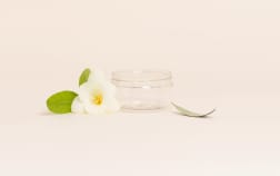 Pot PET transparent BASIC 100 ml - sans bouchage