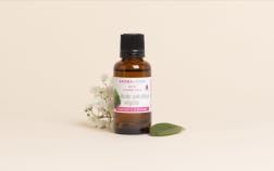 Plant-Derived Salicylic Acid