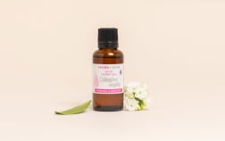 Plant-Based Collagen Active Ingredient