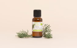 Olio essenziale di Cipresso di Provenza