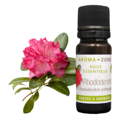 Huile essentielle Rhododendron BIO