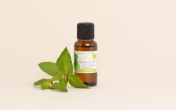 Olio essenziale di Menta piperita della Provenza BIO