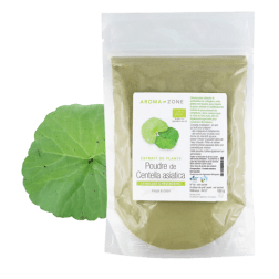 Poudre de Centella asiatica BIO