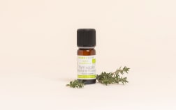 Huile essentielle Thym à thymol de Provence BIO