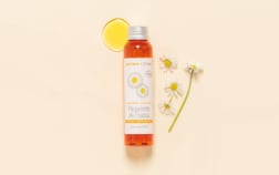 Huile de Pâquerette de France BIO (macérât huileux)