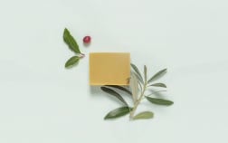 Savon Tradition d'Alep - végétal & SAF