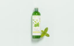 Gel doccia Tè verde e Menta BIO