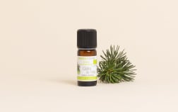 Olio essenziale di Cedro dell'Atlante BIO