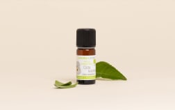 Huile essentielle Ciste ladanifère BIO
