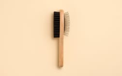 Brosse pour chien et chat