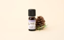 Star Fir Natural Fragrance