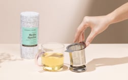 Infusore per tè in acciaio inox