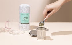 Infusore per tè in acciaio inox
