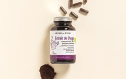 Complément alimentaire Chaga Aroma-Zone sur fond beige avec des gélules et de la poudre