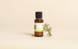Huile essentielle Tea tree (Arbre à Thé)