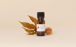 Huile de Ricin BIO
