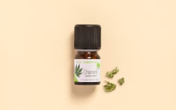 Olio essenziale di canapa BIO