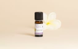 Summer Natural Fragrance