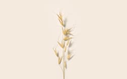 Baume démaquillant soin Avoine & Phytostérols