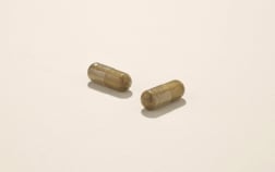 Echinacea BIO - 60 capsule - Integratore alimentare