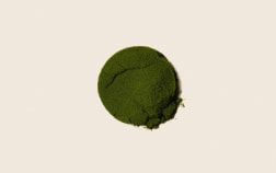 Succo verde alle 5 erbe - 100 g - Integratore alimentare