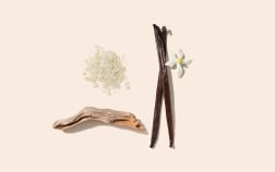 Soleil & Mer Home Fragrance