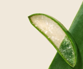 Nos engagements pour une cosmétique 100% durable