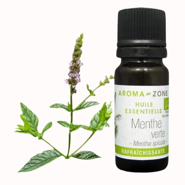 catalogue_he_menthe-verte_bio_4.webp
