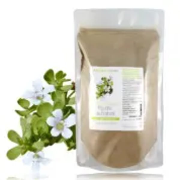 catalogue_extraits-plantes_poudre-brahmi_6.webp