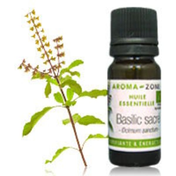 Basilic Tropical