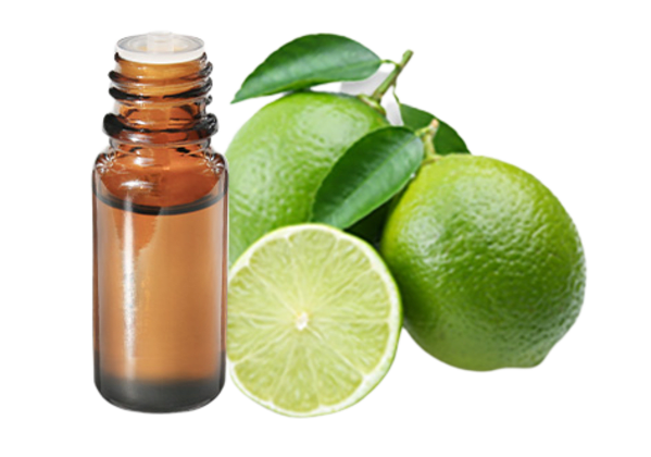 FT-Plante HE-Citron-vert-removebg-preview