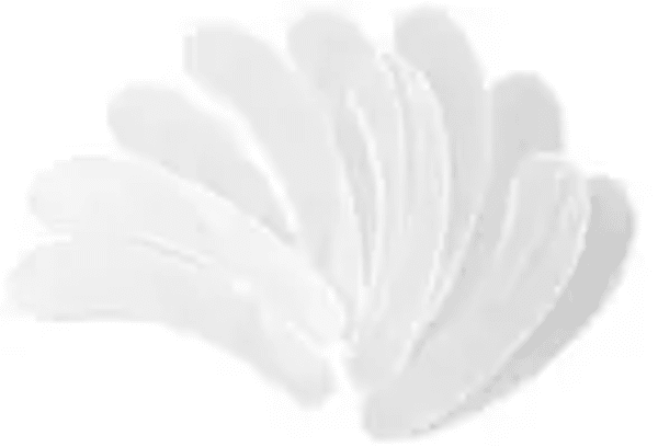 spatules_cosmetiques