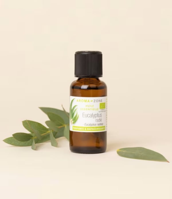 Huile essentielle d’Eucalyptus radié
