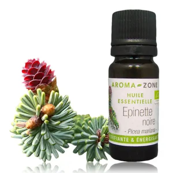 Catalogue_HE_epinette-noire_BIO_0