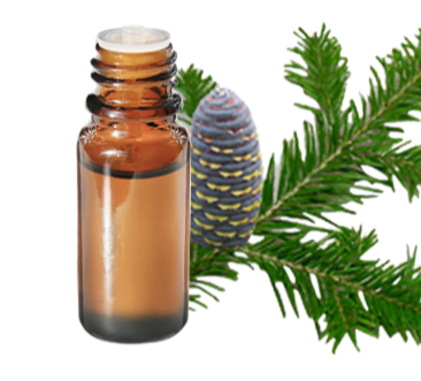 FT-Plante HE-Sapin-siberie-removebg-preview