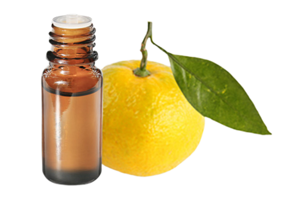 FT-Plante HE-Mandarine-jaune-removebg-preview