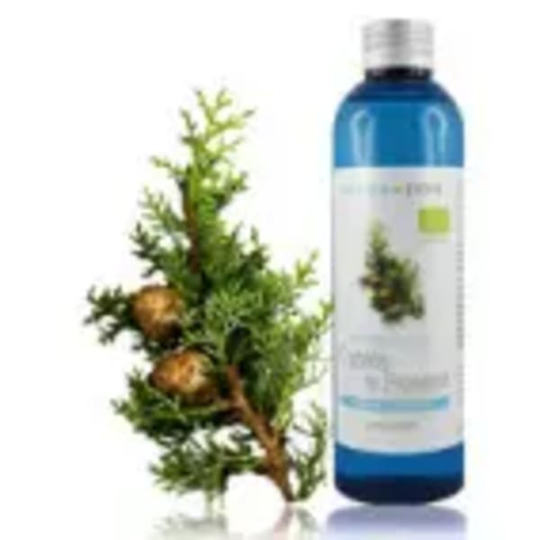 Hydrolat de Cyprès de Provence BIO