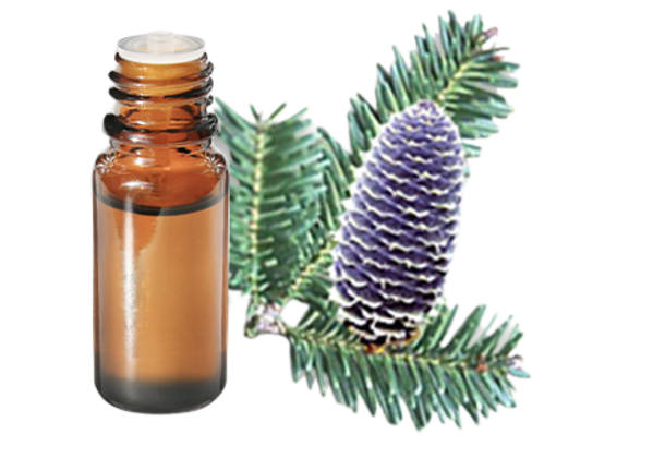 FT-Plante HE-Sapin-baumier-removebg-preview