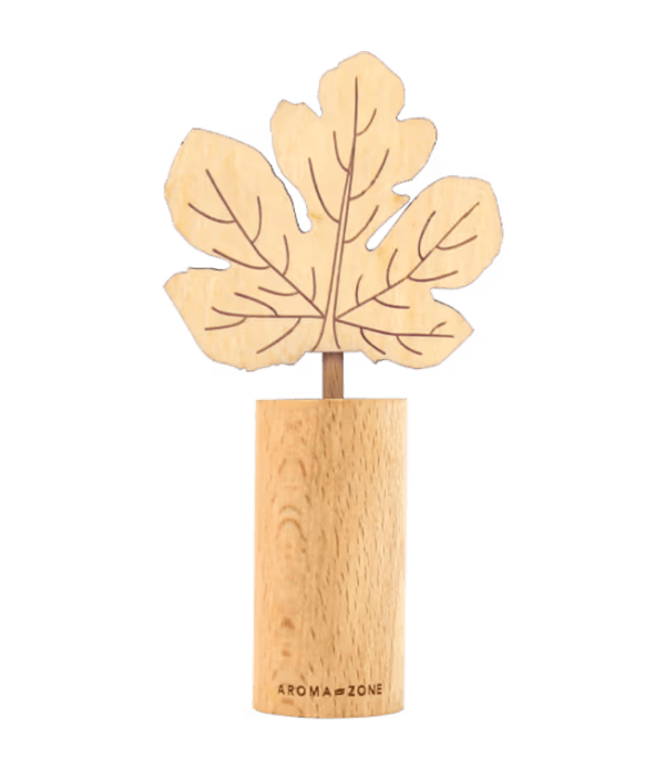 Diffuseur par capillarité d'huiles essentielles en bois