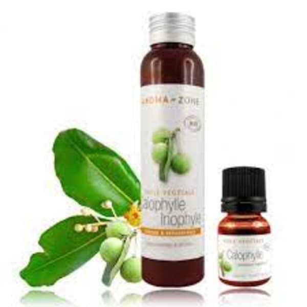 Huile végétale de Calophylle inophyle