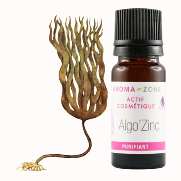 catalogue_actifs-cosmetiques_algo-zinc_1.webp